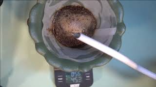 Colombia Rose Valley Strawberry 46 Brewing