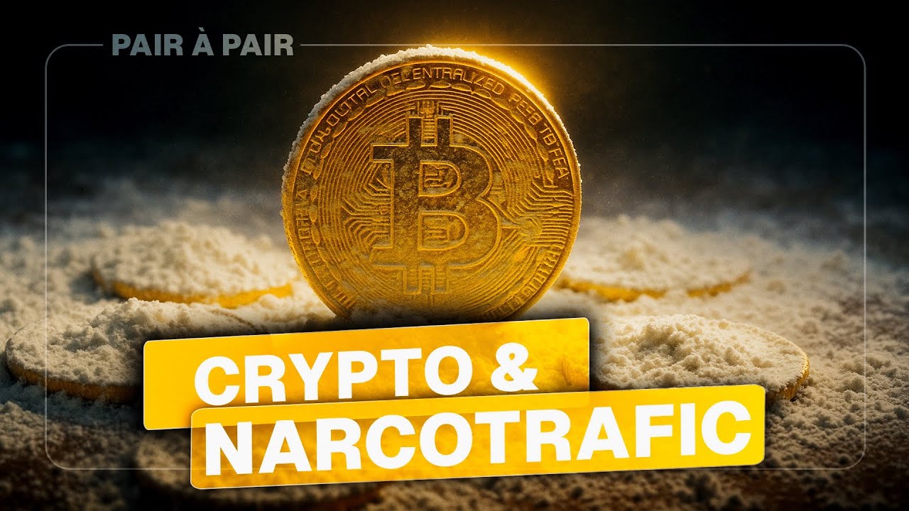 Comment protéger sa vie privée en ligne et sur Bitcoin ? Avec Renaud  Lifchitz