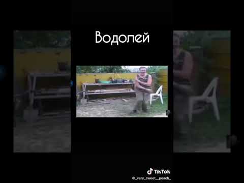 Как танцуют знаки