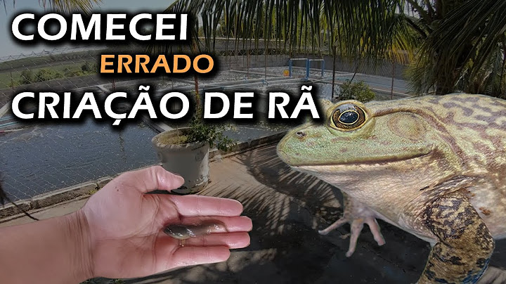 COMECEI ERRADO MINHA CRIAÇÃO DE RÃ TOURO Canal Saalada