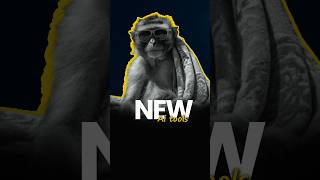 NEW AI TOOLS 🔥