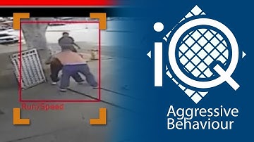 Fighting and Aggressive Behavior Detection | Video and Sound Analytics | iOmniscient