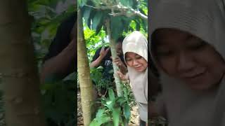 Download Lagu Komedi Sunda  Lucu dan pikaseubeuleun MP3