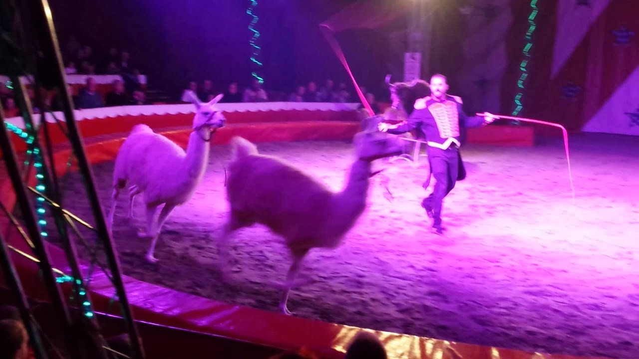 Circus Exotic Kristian Vargas