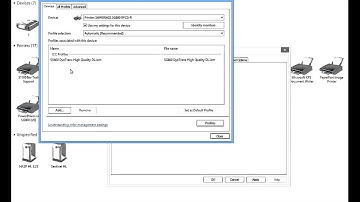 Install Virtuoso SG800 Sublimation Printer with Conde Photo Settings On Windows