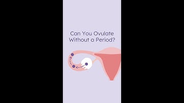 Can you ovulate without a period?