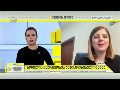 სოფლის მეურნეობის ანტიკრიზისული გეგმა