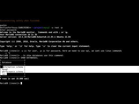 MySQL CLI for Beginners: Connect from Terminal, List Databases, and Fix Stuck Commands Semicolon