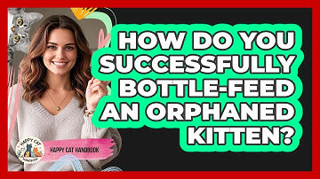 How Do You Successfully Bottle-feed An Orphaned Kitten? - Happy Cat Handbook