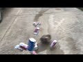 Wood block thrown at soda cans!!! Super satisfying!!!