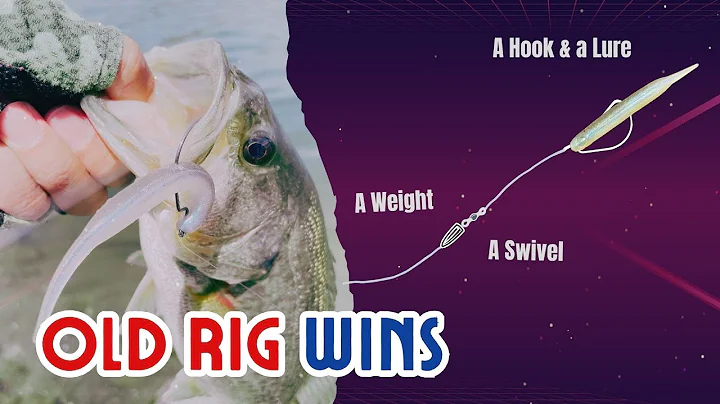 Carolina Rig Comeback: Nories Lady Fish Finds Early Summer Bass | Bass Fishing Rig 101