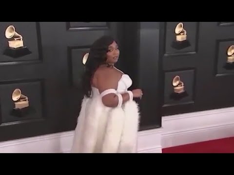 Is Lizzo Guilty? Singer Breaks Her Silence
