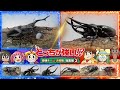 【どっちが強い!?最強チーム決戦編】第9試合～第12試合 総集編