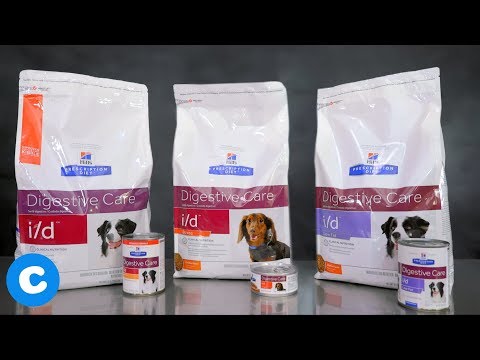 Video: Hill's Pet Nutrition Roept Vrijwillig 62 Zakken Droog Hondenvoer Terug