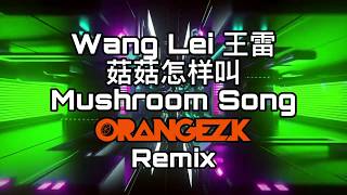 Wang Lei 王雷 - 菇菇怎样叫 Mushroom Song Orangez K Remix