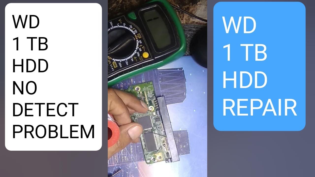 wd 1tb hard disk not detecting ! wd elements 1tb not working YouTube