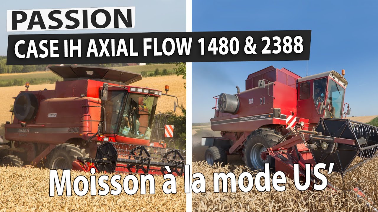 Moisson à la mode US' / IH Axial Flow 1480 et la dernière 2388