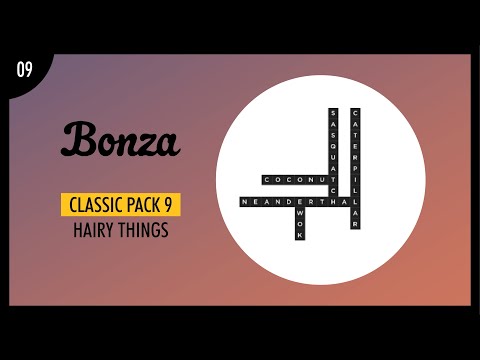 Bonza Word Puzzle | Classic | Pack 9 | Hairy Things