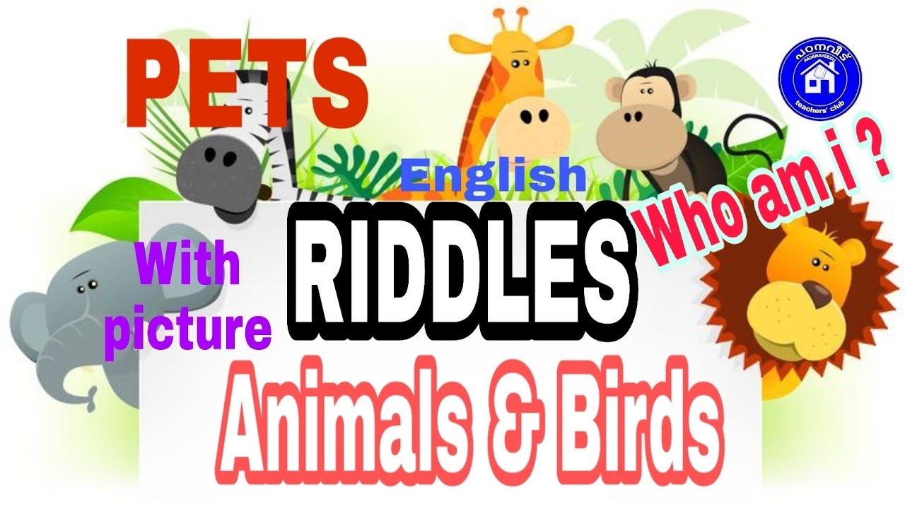 ANIMALS AND BIRDS RIDDLES#IN ENGLISH#PETS RIDDLES#DOMESTIC ANIMALS ...