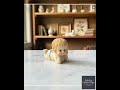 Vintage Style Baby Figurine Crawling – Nursery Shelf Decor