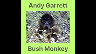 Andy Garrett - Bush Monkey