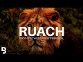 Prophetic Worship Music - RUACH HAKODESH Intercession Prayer Instrumental