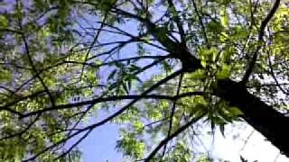 22052011.mp4
