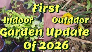 1st Indoor Outdoor Garden Update 2026