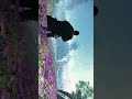 #ghostoftsushima