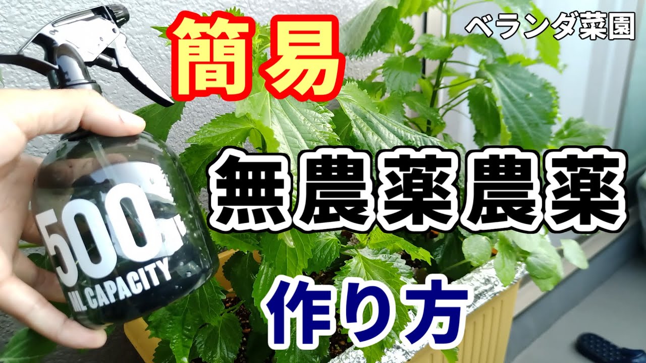 【ベランダ菜園】害虫対策!無農薬農薬の簡単な作り方【自然農薬】 YouTube