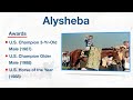 Legends: Alysheba