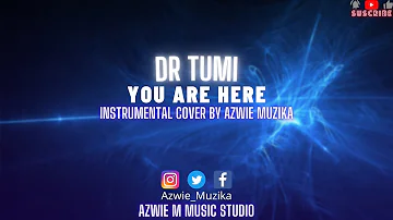Dr Tumi - You Are Here | Instrumental Cover