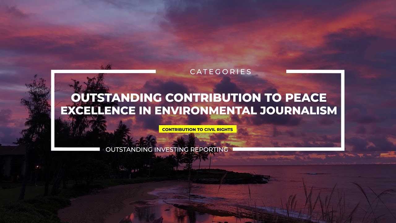 Fetisov Journalism Awards 2020 YouTube