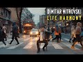 Dimitar mitrovski  life harmony official 2024