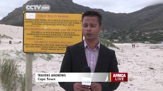 South Africa E Coli Concern In Hout Bay Waters