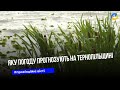 Шквальний вітер, зливи, грози та град — такі метеоявища накрили Тернопільщину