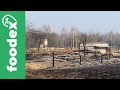 Последствия пожара в Житомирской области.