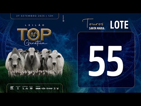 LOTE 55 FSM A2728