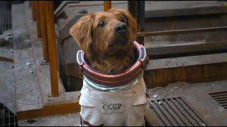 Cosmo the Spacedog | She Is A Bad Dog | WMP Resimi