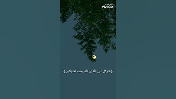 فتوكل على الله إن الله يحب المتوكلين 🤍 #قران_كريم#تلاوات#خاشعه