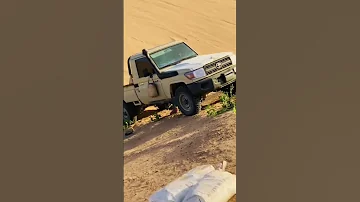تهريب شاص تهريب شاص 