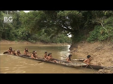 Vidéo: La Rivière Comme Habitat