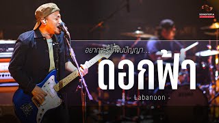 ดอกฟ้า - LABANOON | Songtopia Livehouse