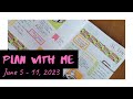 Plan With Me June 5 - 11 | Itty Bitty Sticker Co Mauly Loves Sushi | Aura Estelle B6 Daily Planner