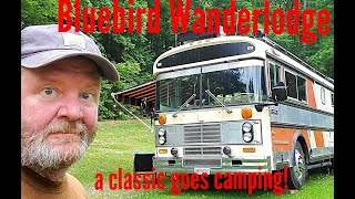 1978 Bluebird Wanderlodge FC31 goes camping in the forest