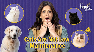 Your Ultimate Cat Parenting Guide | Hosted by Sonali Bendre Ft. Rohan Joshi & Saquib Pathan