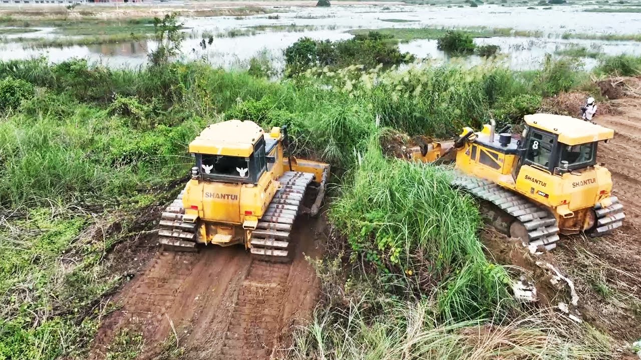Perfectly Dozer Clearing Forest Step by Step | Clearing The Land Project Using SHANTUI Dozer DH17C2