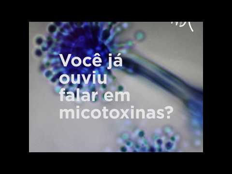 Vídeo: Como Os Animais Afetam A Saúde Humana