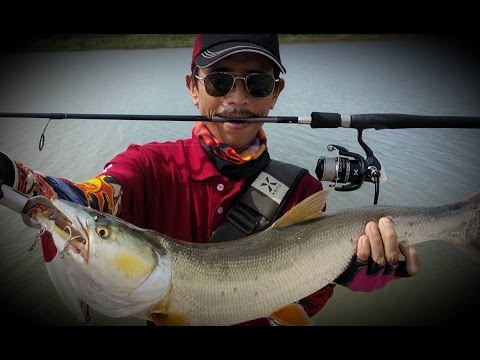 Video Câu cá măng bằng mồi giả trên Sông Hồng - Hà Nội - youtube