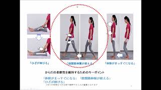 股関節疾患の画像解剖に基づく運動療法・浅野昭裕先生